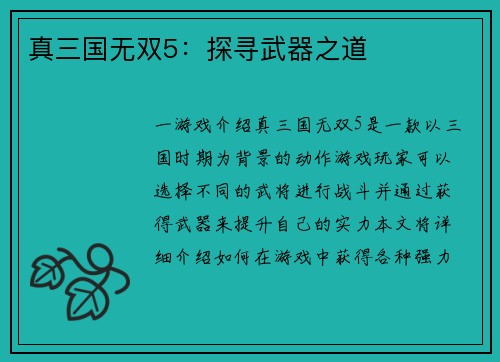 真三国无双5：探寻武器之道